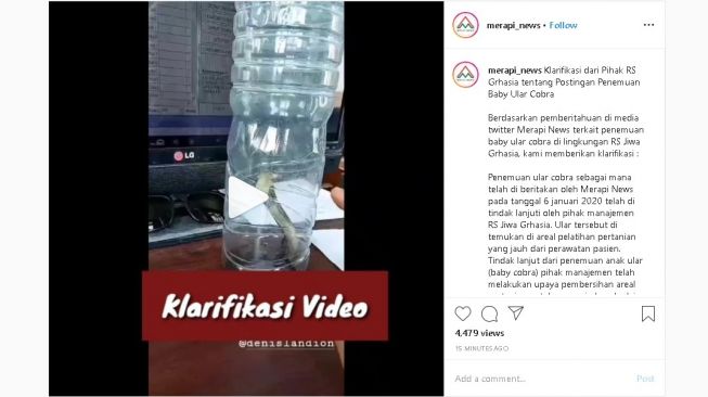 RSJ Grhasia Sleman beri klarifikasi soal temuan anak ular kobra - (Instagram/@merapi_news)