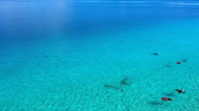 Foto udara sejumlah wisatawan melakukan selam dangkal (snorkeling) di Pulau Cinta Ecoresort di Botumoito, Kabupaten Boalemo, Gorontalo, Sabtu (11/1).  [ANTARA FOTO/Adiwinata Solihin]