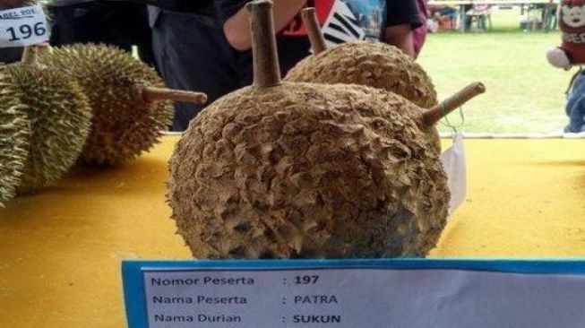 Durian Tanpa Duri Ikut Serta Dalam Kontes Durian Bangka Belitung