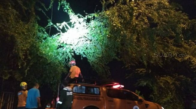 Anggota BPBD Kota Yogyakarta melakukan pemotongan dahan pohon yang menimpa kabel listrik akibat hujan disertai angin kencang, Sabtu (11/1/2020) malam wib. [dok. BPBD Yogyakarta]