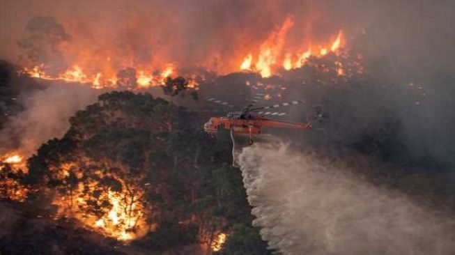 Kebakaran Hutan Australia Tidak Dilakukan Warga, Lantas Apa Penyebabnya?