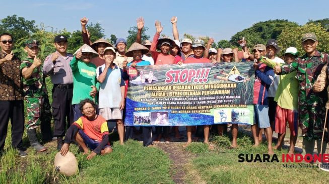 Di Ngawi, Ketua Poktan Sosialisasi Basmi Hama Tikus Menggunakan Mercon Asap