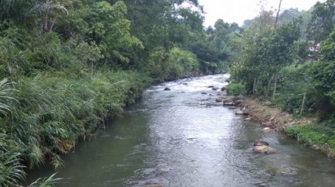 Perdana, Ini Dia Lubuk Larangan Yang Ada di Kabupaten Solok