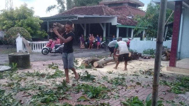 Atap Masjid dan 8 Rumah di Madiun Rusak Tertimpa Pohon Roboh