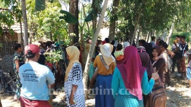 Pohon Menangis Bikin Geger dan 4 Berita Populer Lainnya