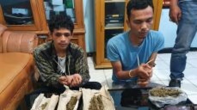 Polres Bukittinggi Berhasil Ringkus Dua Orang Pengedar Ganja