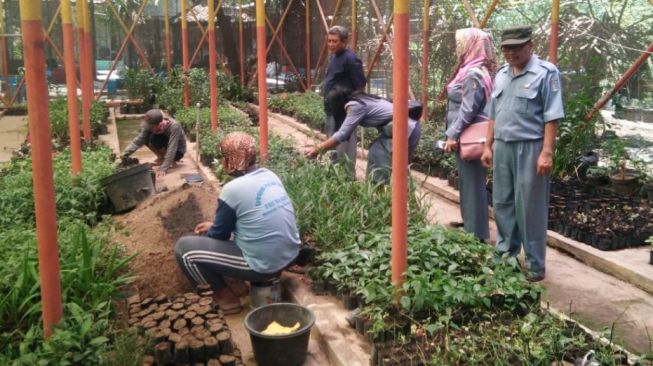 Mini Agrowisata Kebun Buah dan Sayur di Dalam Kota Surabaya 