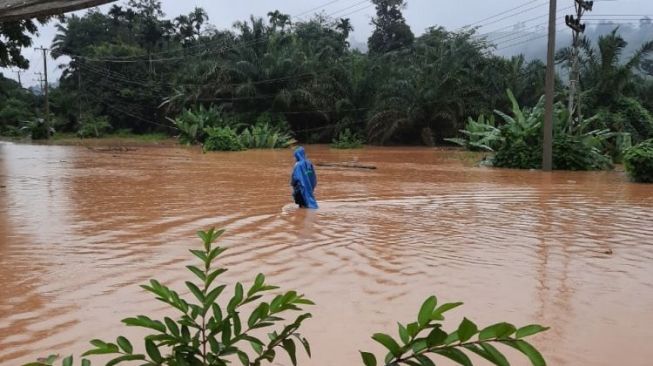 Banjir Lagi! Warga Jorong Kampung Surau Desak Normalisasi Sungai Pangian