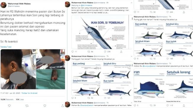 Jenis Ikan yang tusuk leher siswa SMP di Buton Selatan (twitter @alvinmalana)