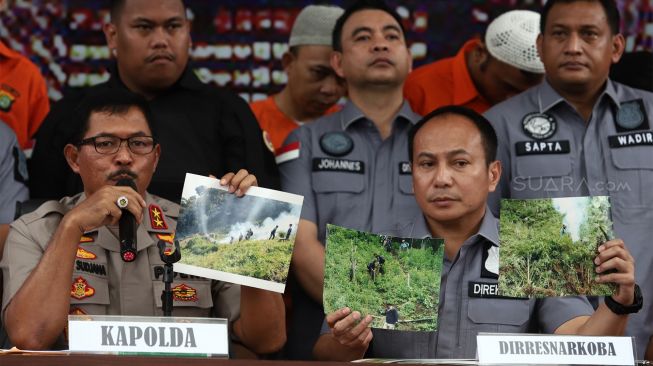 Tersangka beserta barang bukti ganja dihadirkan saat pengungkapan kasus narkotika jenis ganja selama dua bulan di Direktorat Reserse Kriminal Umum Polda Metro Jaya, Jakarta, Rabu (22/1). [Suara.comAngga Budhiyanto]
