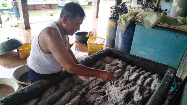 Imbas Tsunami Banten, Produksi Ikan di Pandeglang Menurun 50 Ribu Ton