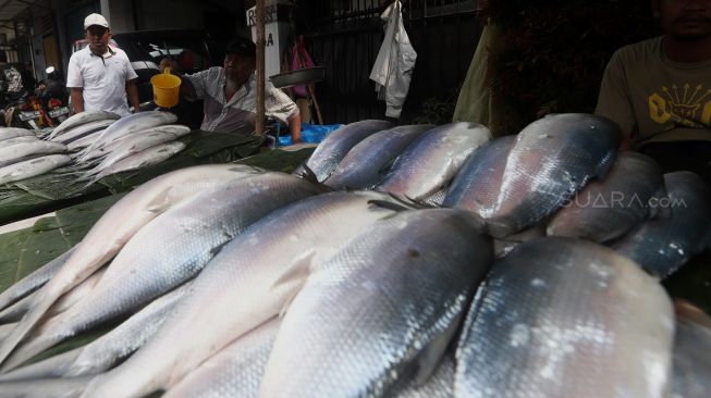 Pedagang menyirami ikan bandeng dengan air di lapaknya di Pasar Rawa Belong, Jakarta Barat, Rabu (22/1). [Suara.com/Angga Budhiyanto]