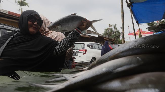 Pembeli memilih ikan bandeng di Pasar Rawa Belong, Jakarta Barat, Rabu (22/1). [Suara.com/Angga Budhiyanto]