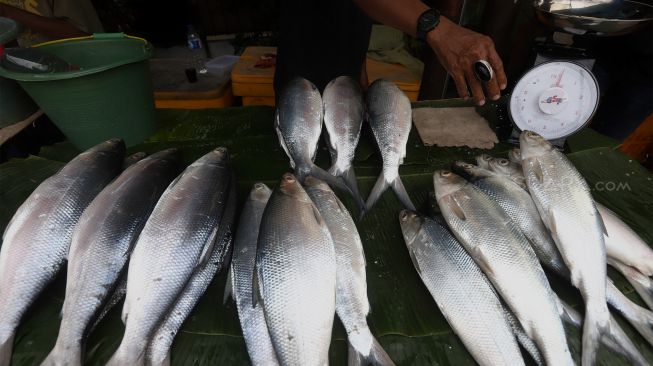 Pembeli memilih ikan bandeng di Pasar Rawa Belong, Jakarta Barat, Rabu (22/1). [Suara.com/Angga Budhiyanto]