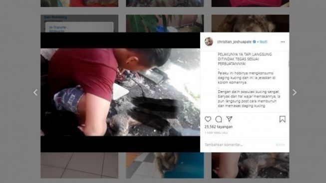 Viral Pemuda Bakar Kucing dan Makan Dagingnya