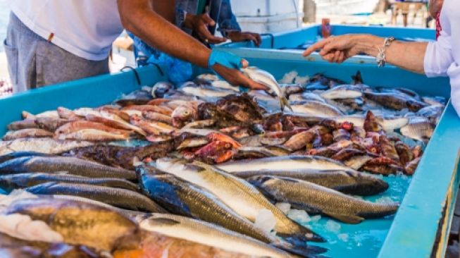 Gelombang Tinggi, Persediaan Ikan di Pasaran Natuna Mulai Berkurang