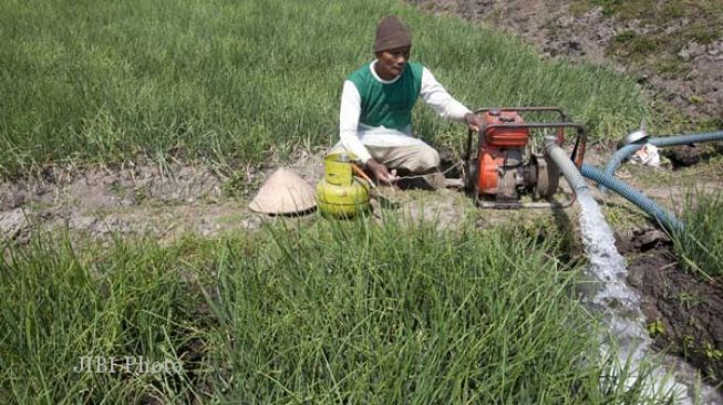 Bantu Petani, Pemkab Karanganyar Pasang Jaringan Listrik di Sawah