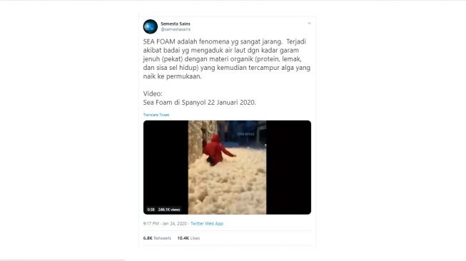 Kagum Tapi Bikin Ngeri, Kumpulan Kapas Raksasa Ada di Dekat Pantai