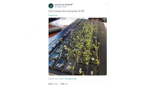 Penampakan tanaman tumbuh di keyboard. [Twitter]