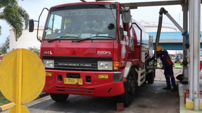 Potensi Tanaman Nyamplung di Kepulauan Selayar, Siap Hadirkan Bahan Baku Biodiesel