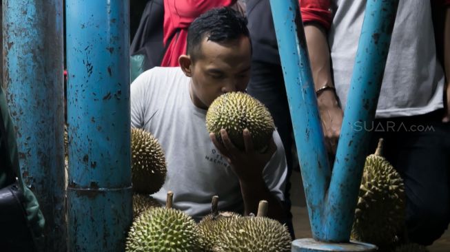 Pembeli mencium Durian di Sentra Kuliner Durian Kalibata, Jakarta Selatan, Kamis (30/01).[Suara.com/Alfian Winanto]