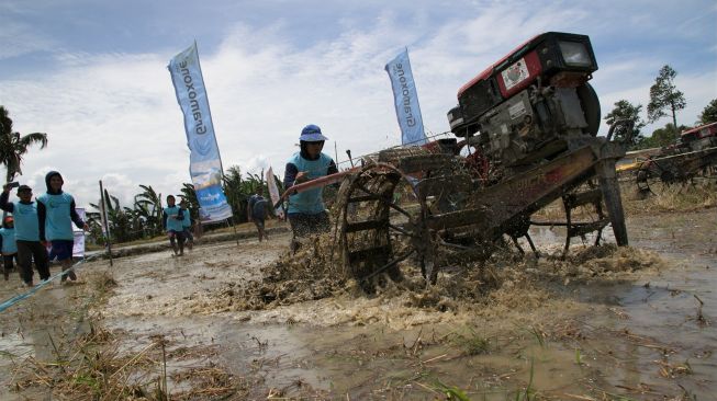 Melihat Keseruan Lomba Balap Hand Traktor dan Tangkap Ikan di Kolaka