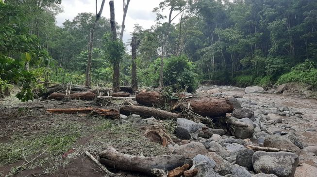 Gunung Argopuro Turunkan Banjir Bandang Bekas Kebakaran Hutan