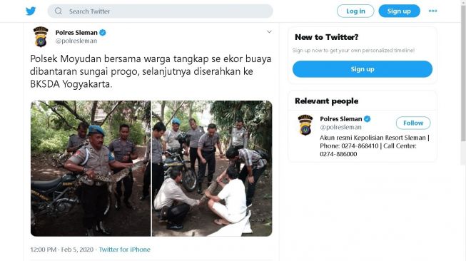 Buaya muncul di SUngai Progo ditangkap warga dan polisi - (Twitter/@polresleman)