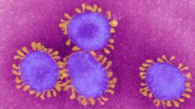 Virus corona: Bisakah ini menjadi pandemi di tingkat global?