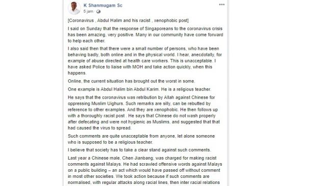 Komentar Menteri Dalam Negeri Singapura K Shanmugam atas unggahan rasis soal virus corona (Facebook)