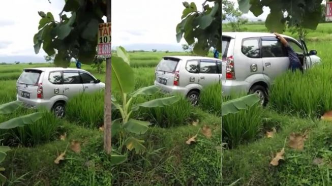 Viral Mobil Masuk Tengah Sawah di Madiun Tanpa Bekas Jejak Ban