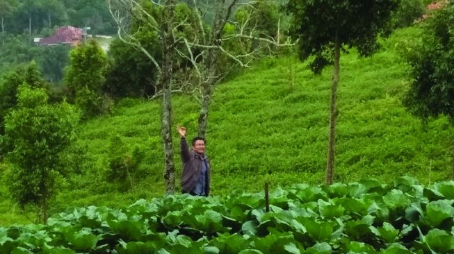 Chairman YPM Malaysia: Bukik Bulek Canduang Pemandangan Terindah di Dunia