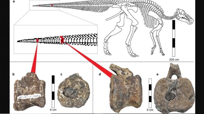 Dinosaurus Hadrosaur. [springernature.com]