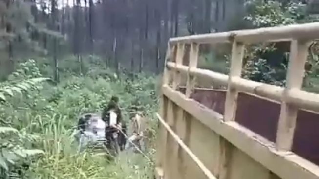 Viral mobil nyasar di hutan, mesti ditarik truk untuk ke luar dari sana [screenshot Facebook].