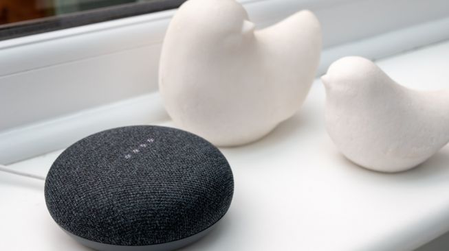 Google Nest Mini Speaker. [Shutterstock]