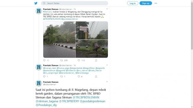 Pohon tumbang di Jalan Magelang, Sleman, Jumat (14/2/2020) sore - (Twitter/@kabarsleman)