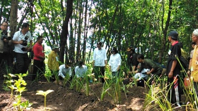 Ikut Jokowi Tanam Vetiver di Wonogiri, Begini Penampilan Ibu Negara Iriana