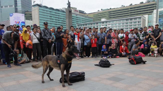 Anjing pelacak khusus melakukan simulasi pendeteksian bahan peledak saat Car Free Day di Bundaran HI, Jakarta, Minggu, (16/2/2020). Kegiatan ini merupakan pemberian edukasi kepada masyarakat tentang cara kerja anjing pelacak saat melacak alat peledak yang disembunyikan. [ANTARA FOTO/Reno Esnir]
