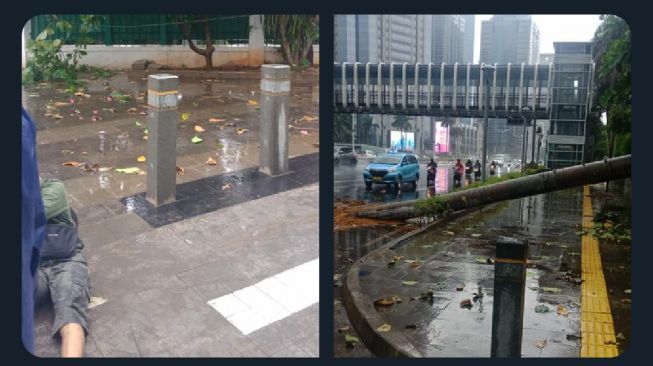 Hujan Deras Guyur Jakarta, Pohon di Depan Polda Metro Jaya Tumbang