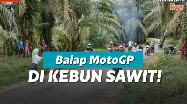 Bocah Indonesia Bikin Video Balap di Kebun Sawit
