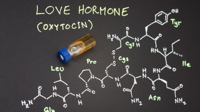Ilustrasi oksitosin alias hormon cinta. (Shutterstock)