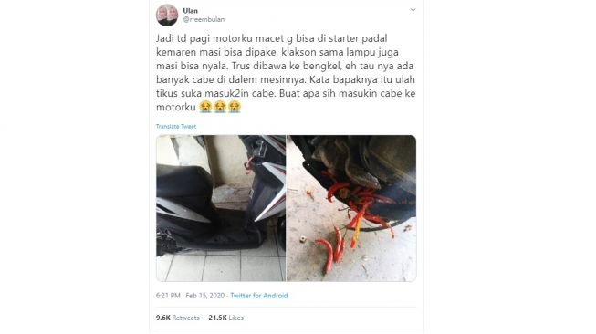 Cabai di motor bikin mogok. [Twitter]