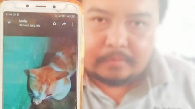 Kesal Ayamnya Dimakan, Pria di Cirebon Tembak Kucing hingga Buta 