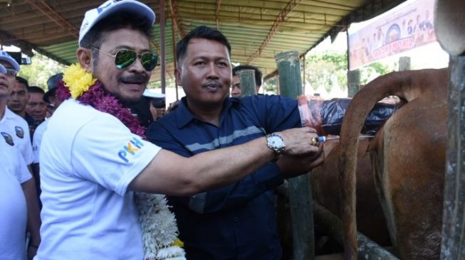 Akselerasi Produksi Sapi Dalam Negeri, Mentan Panen 1000 Ekor Pedet