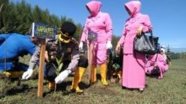 Antisipasi Abrasi Pantai, Polres Pessel Tanam 3000 Pohon Magrove