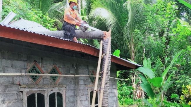 Pohon Kelapa Tumbang Timpa Rumah di Karangasem