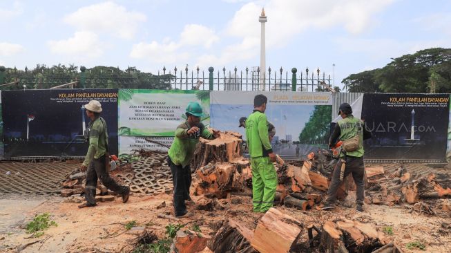 Petugas memotong pohon yang tumbang di kawasan IRTI Monas, Jakarta Pusat, Senin (24/2).  [Suara.com/Alfian Winanto]