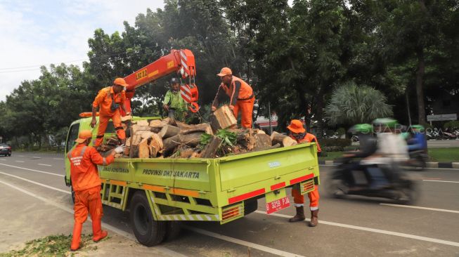 Petugas menaruh potongan kayu dari pohon yang tumbang ke truk di kawasan IRTI Monas, Jakarta Pusat, Senin (24/2). [Suara.com/Alfian Winanto]