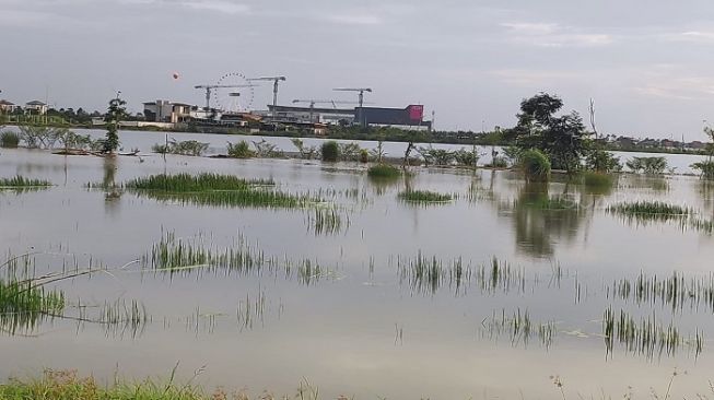 Kawasan banjir di permukiman warga di dekat Mal AEON, Cakung, Jakarta Timur. (Suara.com/Stephanus Aranditio).