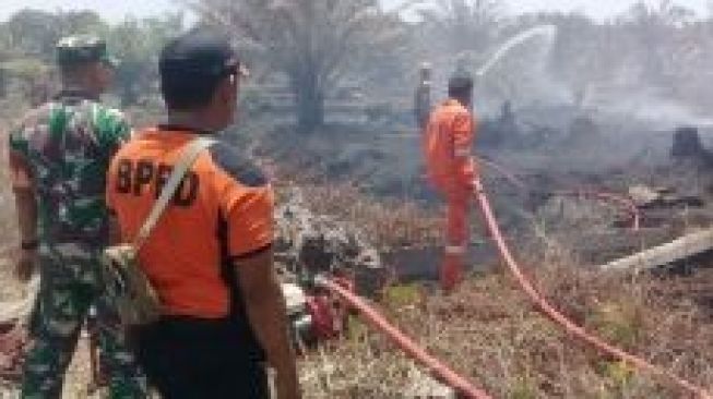 Dua Hektare Kebun Sawit Terbakar di Durian Kapeh Agam
